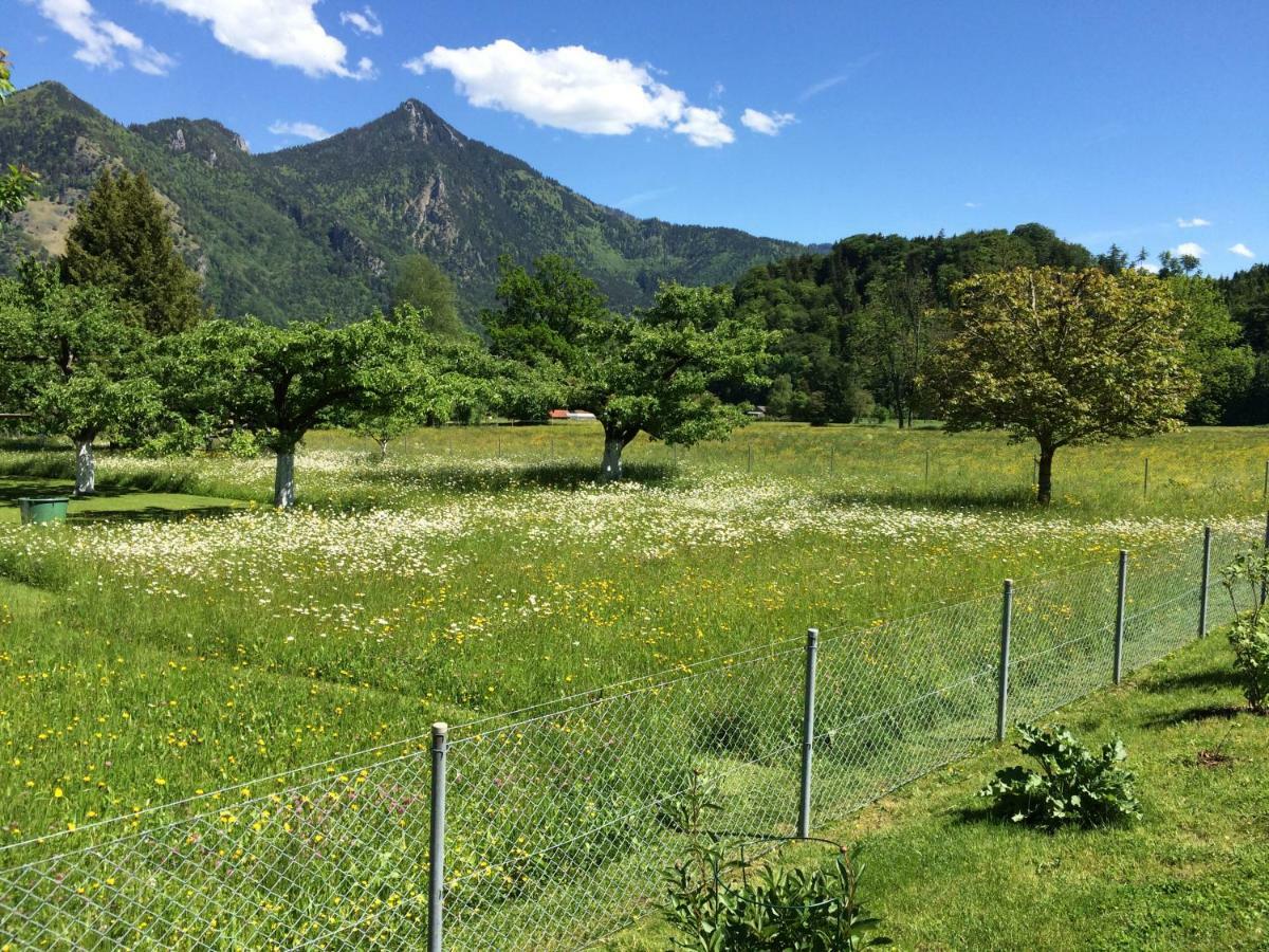 5-Sterne Active Ferienwohnung Chiemgau マルクヴァルトシュタイン エクステリア 写真